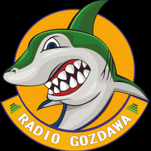 Radio Gozdawa