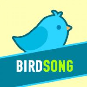 Пение птиц Радио