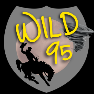 Wild 95