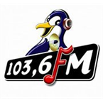 Pinguin FM Bali