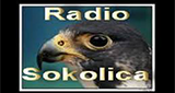 Radio Sokolica