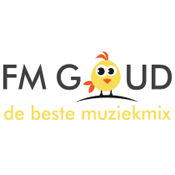 FM Goud- 107.3 FM
