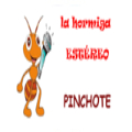 La hormiga estéreo Pinchote