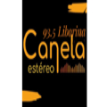 Canela Liborina