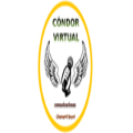 CONDOR VIRTUAL