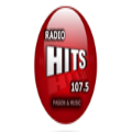 Radio Hits Argentina