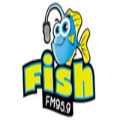 Radio Fish