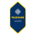 Pulse Radio