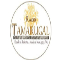 Radio Tamarugal