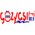 Gozyasi FM