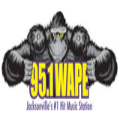 95.1 WAPE