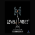 Level Vibes FM