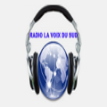 Radio La Voix du Sud Internationale