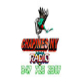 Chapines NY Radio