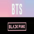 BT AND BLACKPINK ALBUM