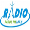 Radio Padul Fm