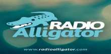 Radio Alligator